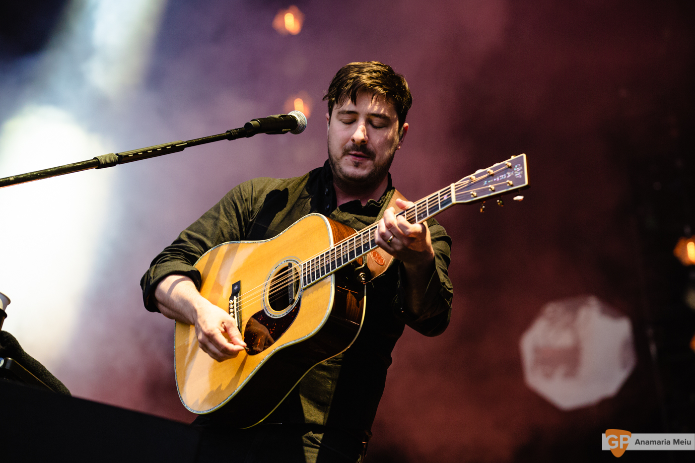 Mumford and Sons at Malahide Castle by Anamaria Meiu