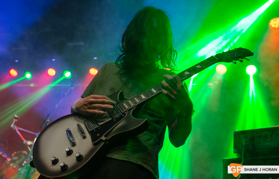 Slung From A Tree, Cyprus Avenue, 15-6-19 Shane J Horan-2