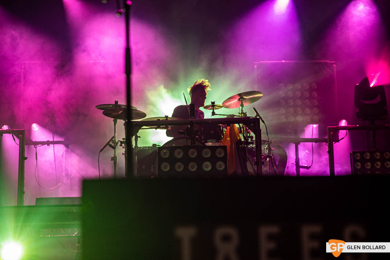 2000trees