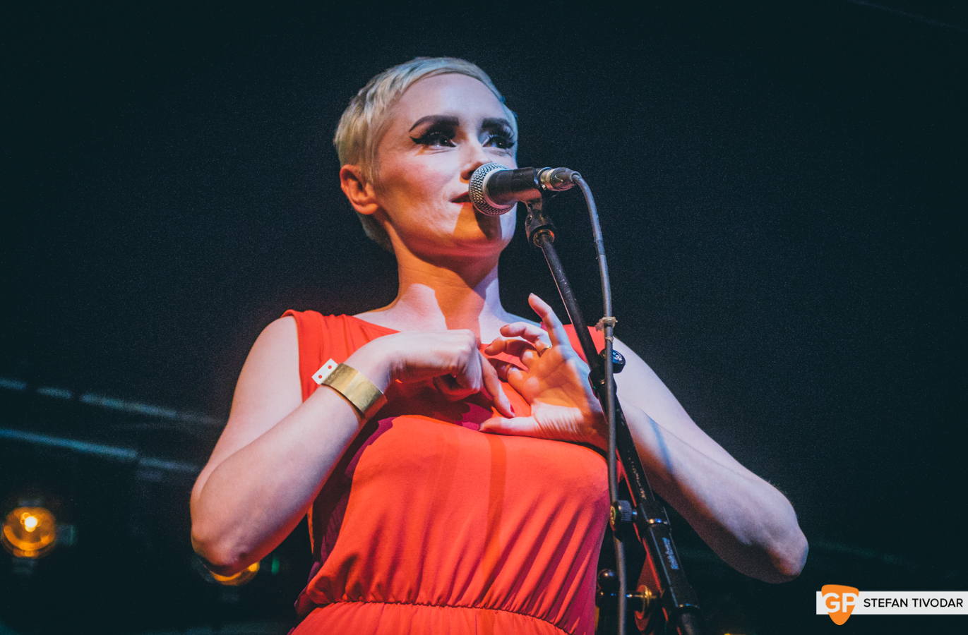HamSandwich A night for Joe Whelans July 2019 Tivodar 8