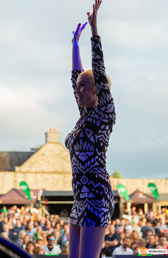 Hamsandwich_HermitageGreenSupport_Night1_KingJohnsCastle_26Jul19_MoiraReilly_20