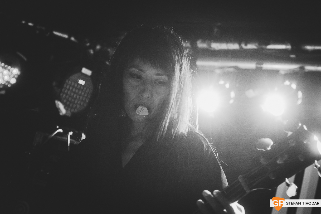 Mono Whelans July 2019 Tivodar 9