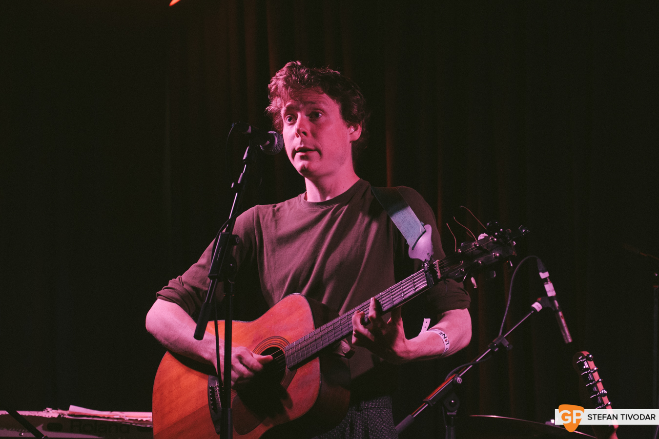 The Curly Organ Mongoose Lost Lane July 2019 Tivodar 11