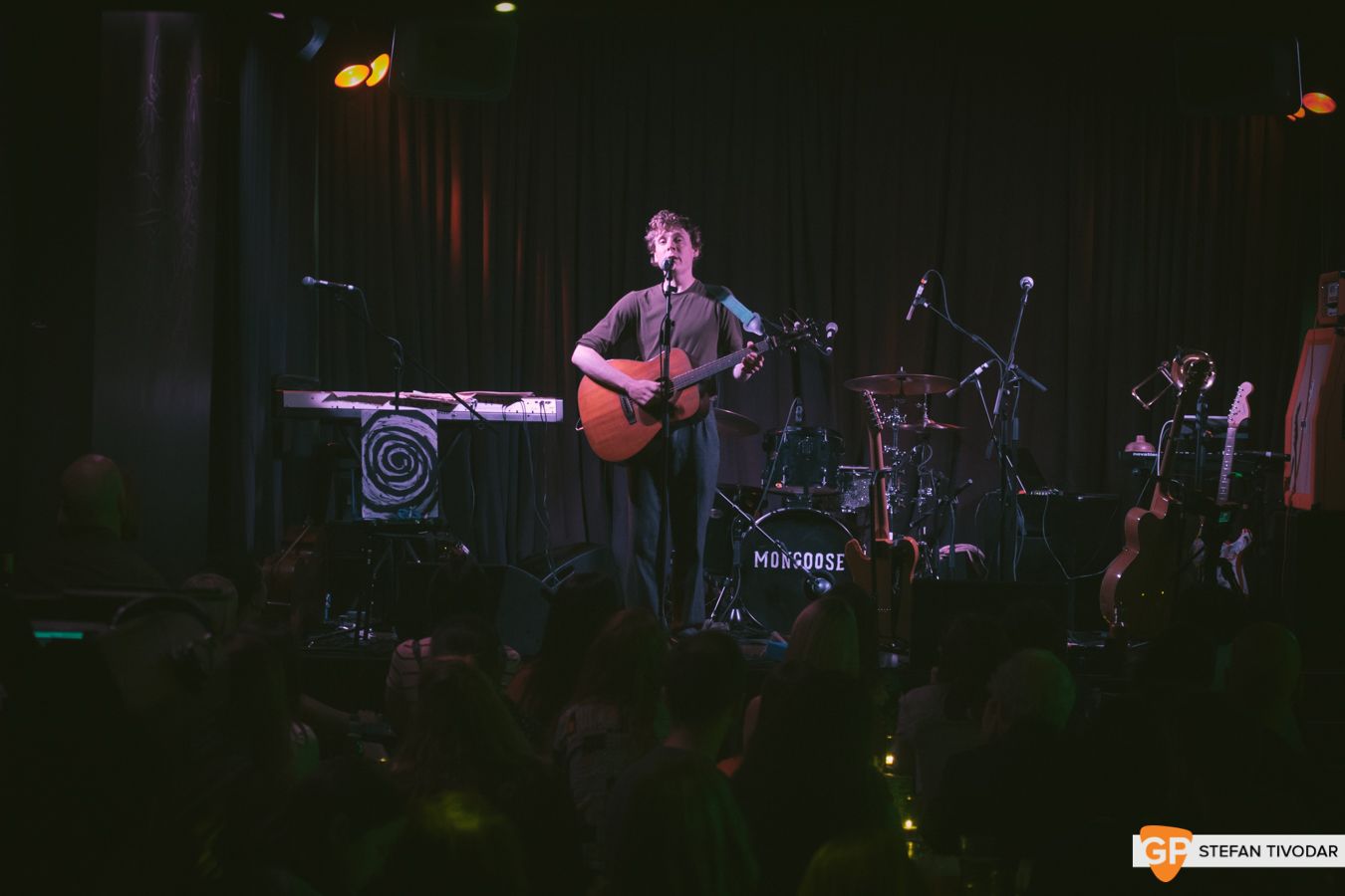 The Curly Organ Mongoose Lost Lane July 2019 Tivodar 12
