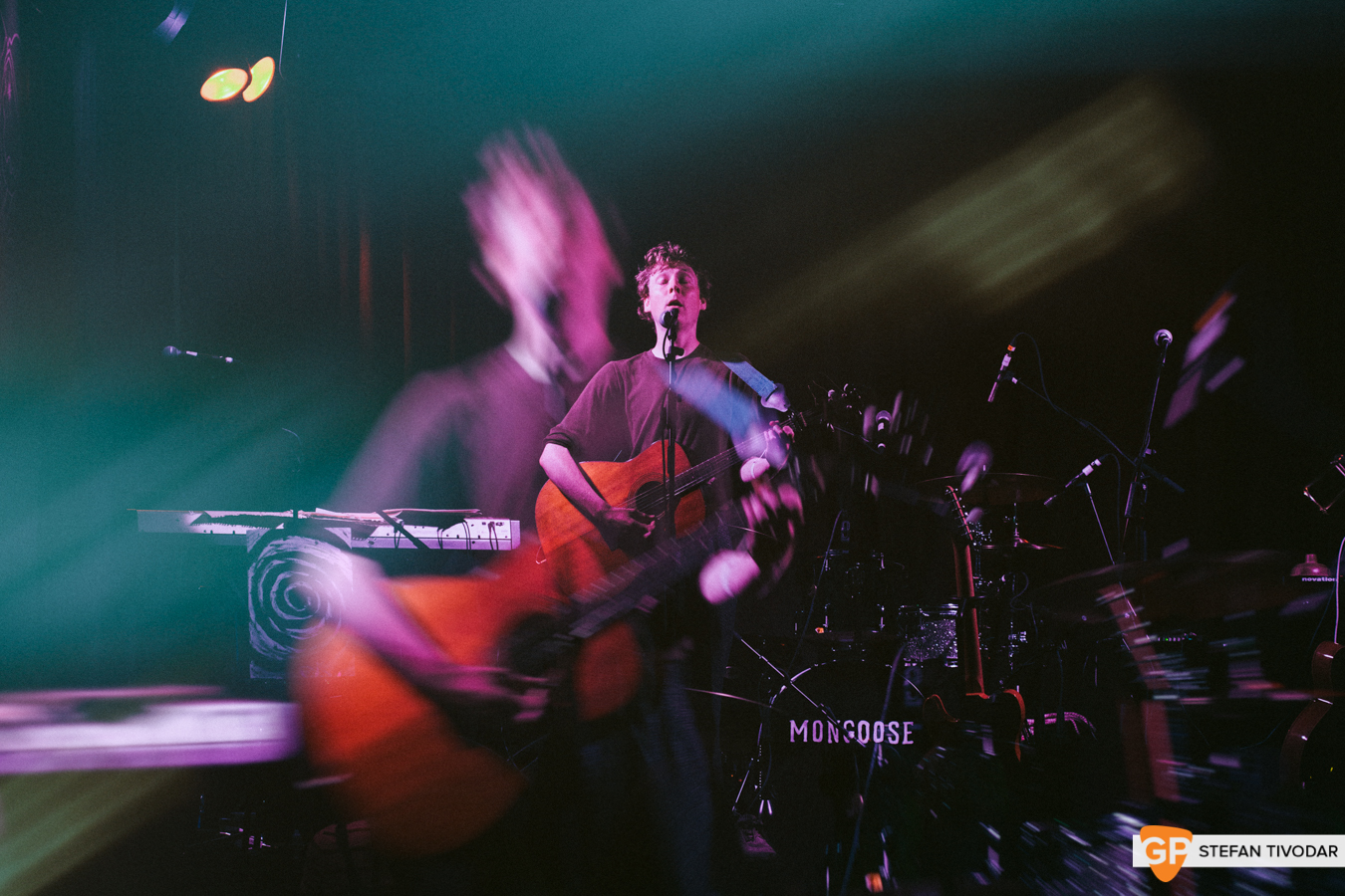The Curly Organ Mongoose Lost Lane July 2019 Tivodar 4