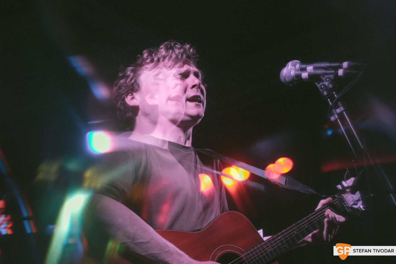 The Curly Organ Mongoose Lost Lane July 2019 Tivodar 9