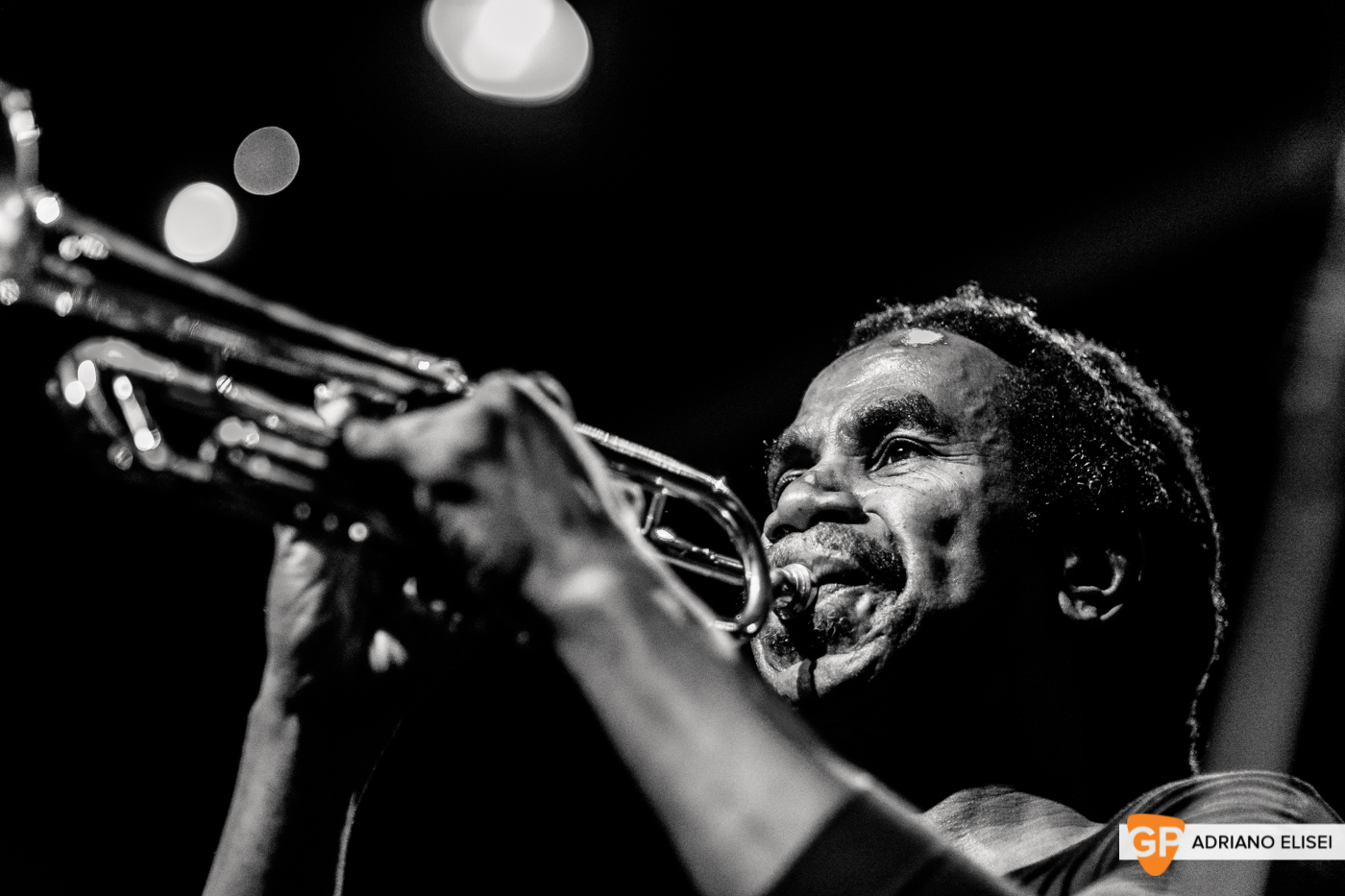 The Skatalites at Button Factory (13)