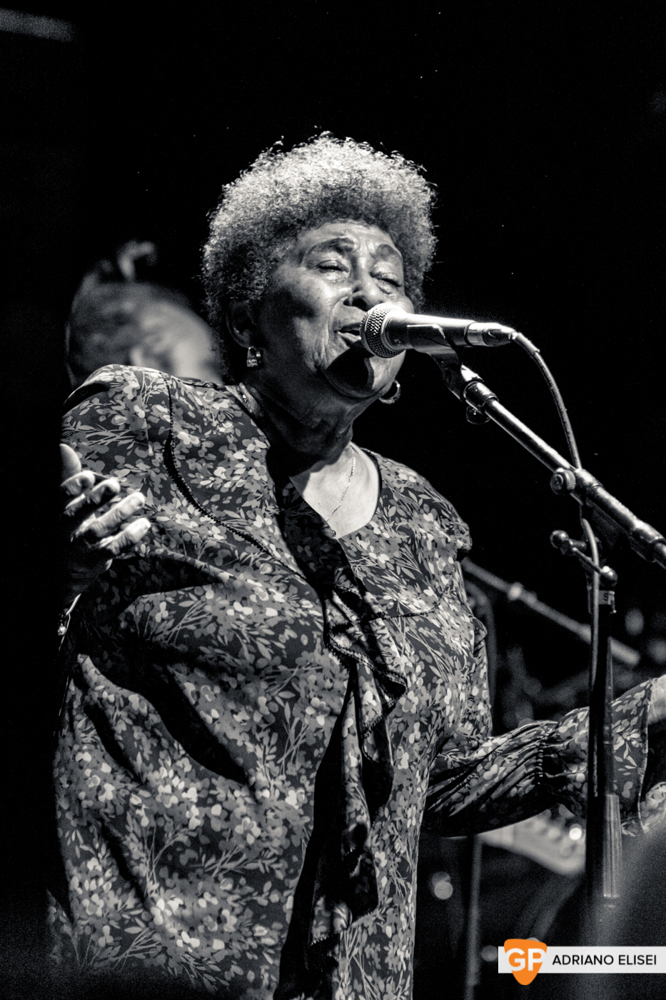 The Skatalites at Button Factory (15)