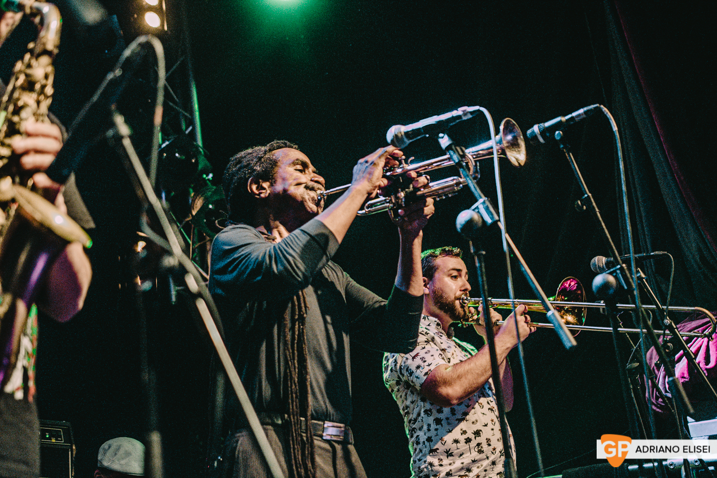 The Skatalites at Button Factory (21)