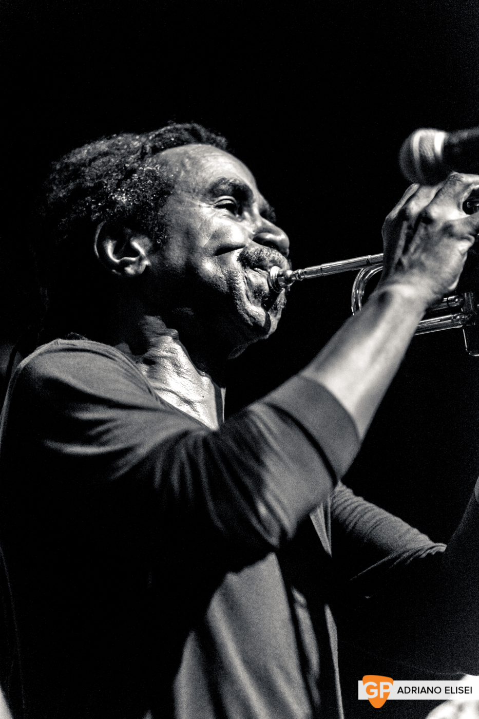 The Skatalites at Button Factory (26)