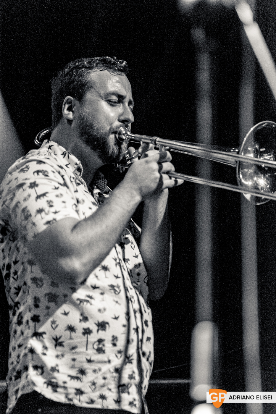 The Skatalites at Button Factory (28)