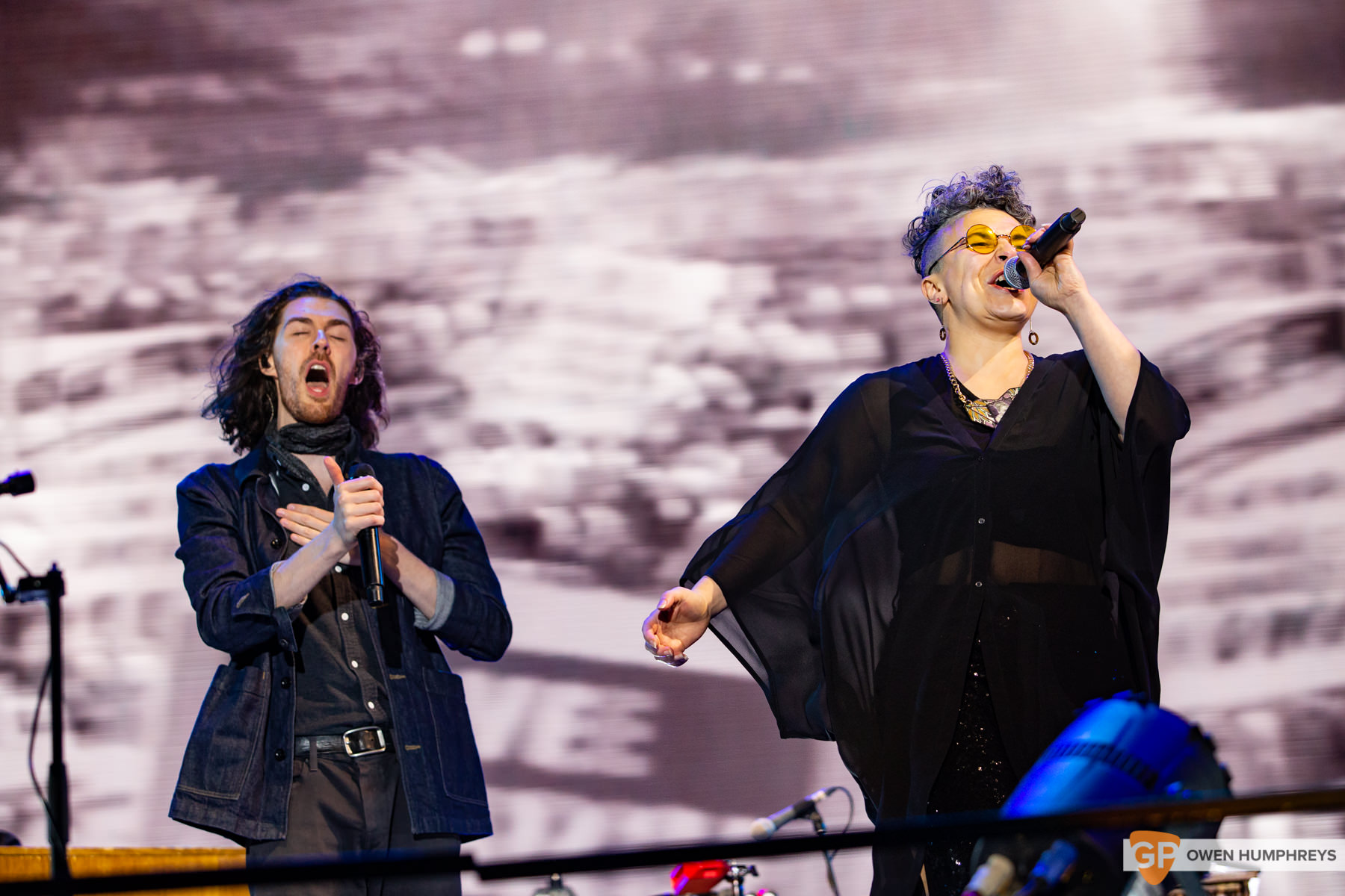 Electric Picnic 2019. Photo by Owen Humphreys. www.owen.ie-7