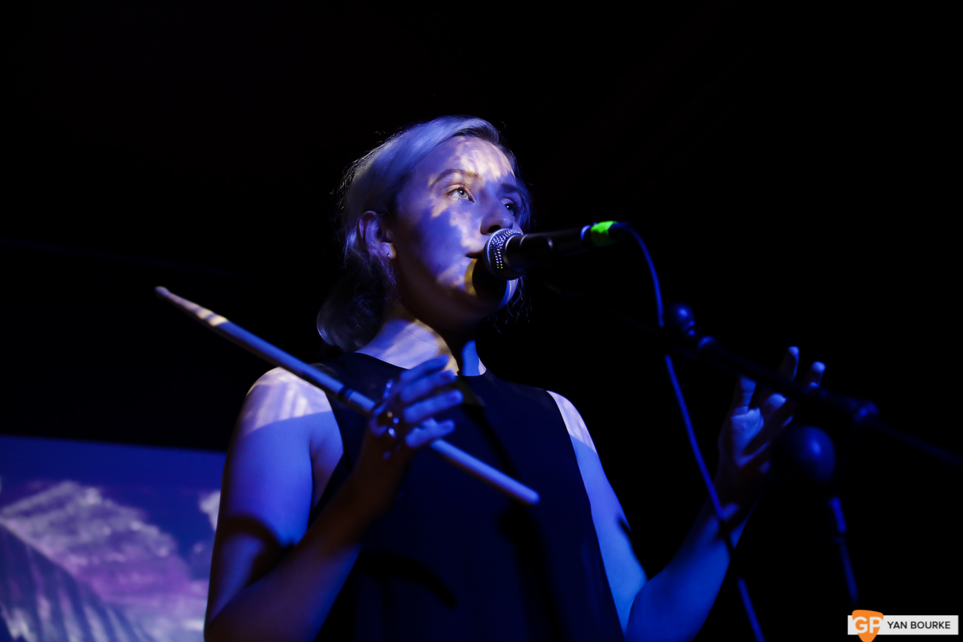 Fears at We’ve Only Just Begun in Whelan’s on 10 August 2019 by Yan Bourke