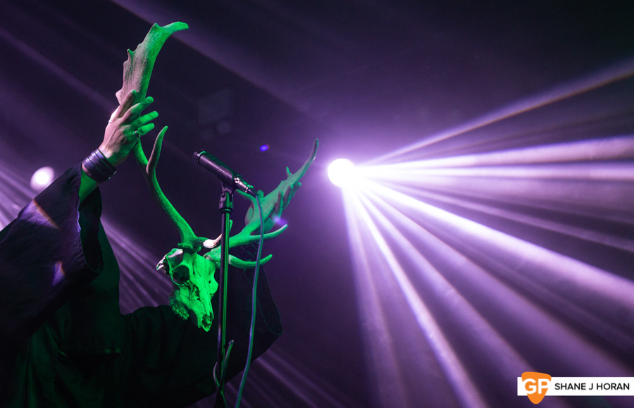 From the Bogs of Aughiska, Cyprus Avenue, Shane J Horan, 3-8-19