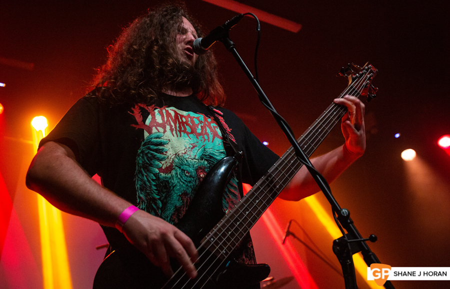 Sodomized Cadaver, Cyprus Avenue, Shane J Horan, 3-8-19