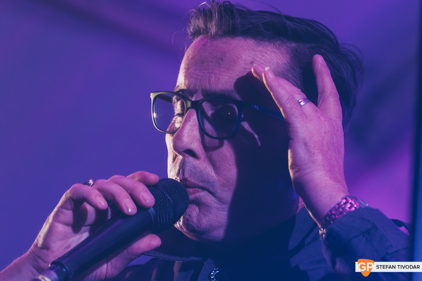 Aslan Sandyford House 2019 Tivodar 23