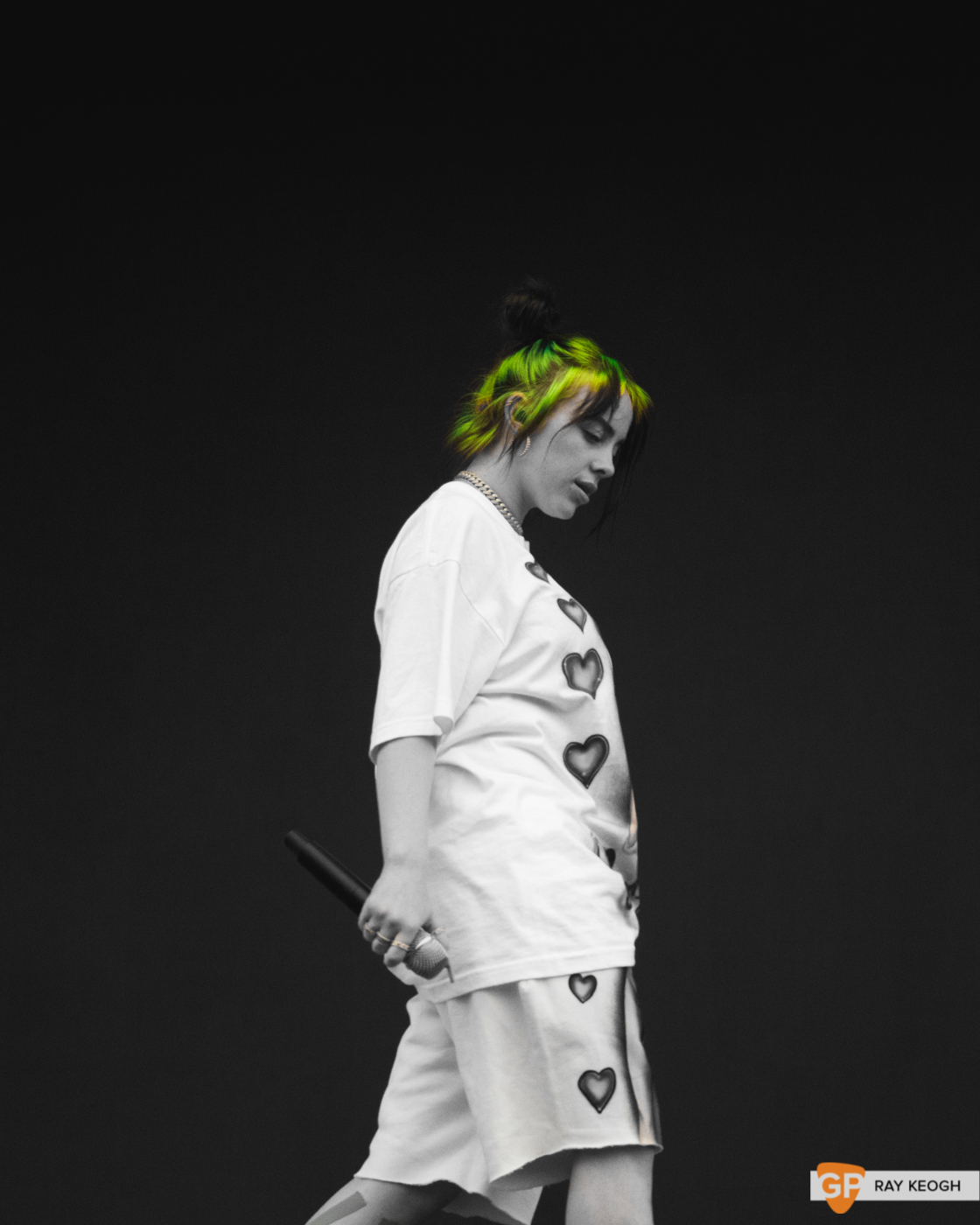 Billie Eilish Electric Picnic Gig Photos