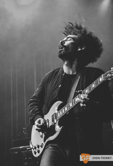 local natives