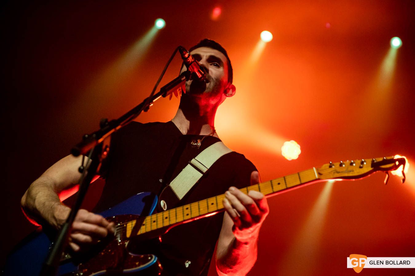 HermitageGreen_Olympia