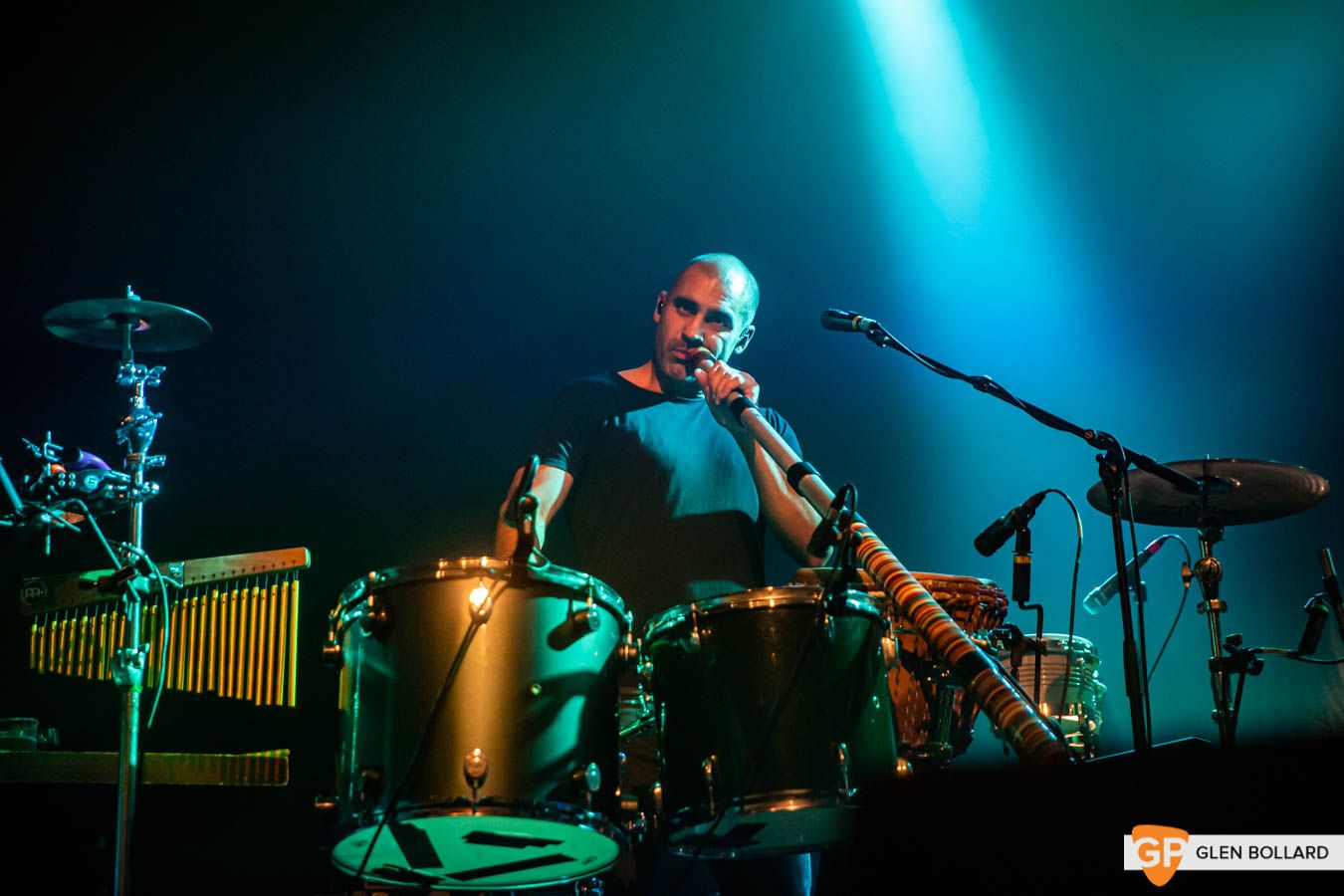 HermitageGreen_Olympia