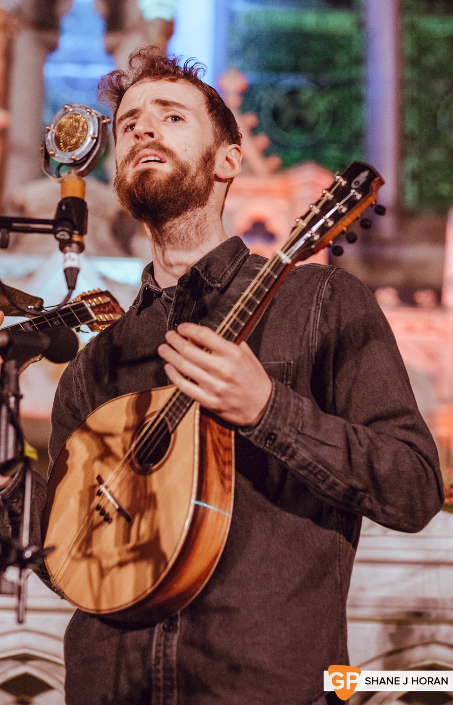 Ye Vagabonds, Griffith College, Quiet Lights, Shane J Horan, 22-11-19-5