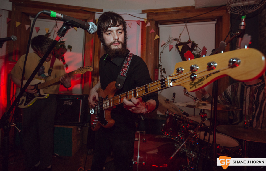 Hales Lake, Plugd Records, Cork, Shane, 13-12-19-1