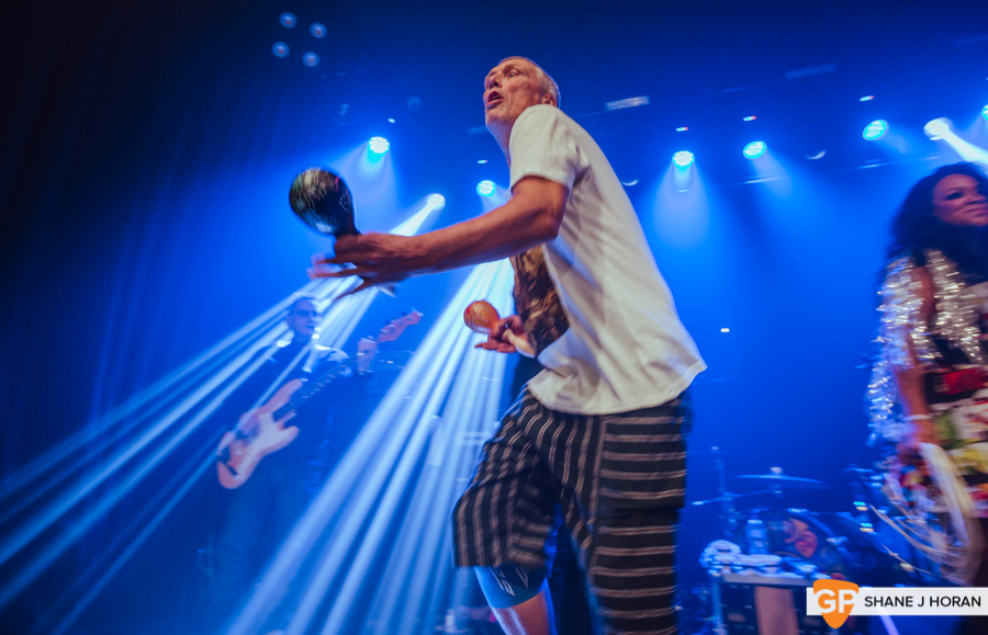 Happy Mondays, Cyprus Avenue, 3-12-19-4