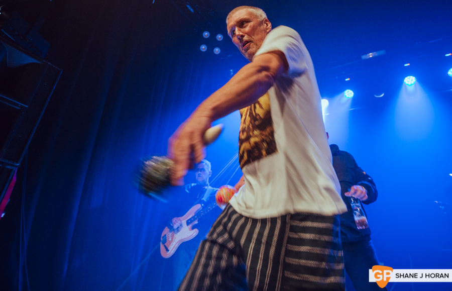 Happy Mondays, Cyprus Avenue, 3-12-19-5