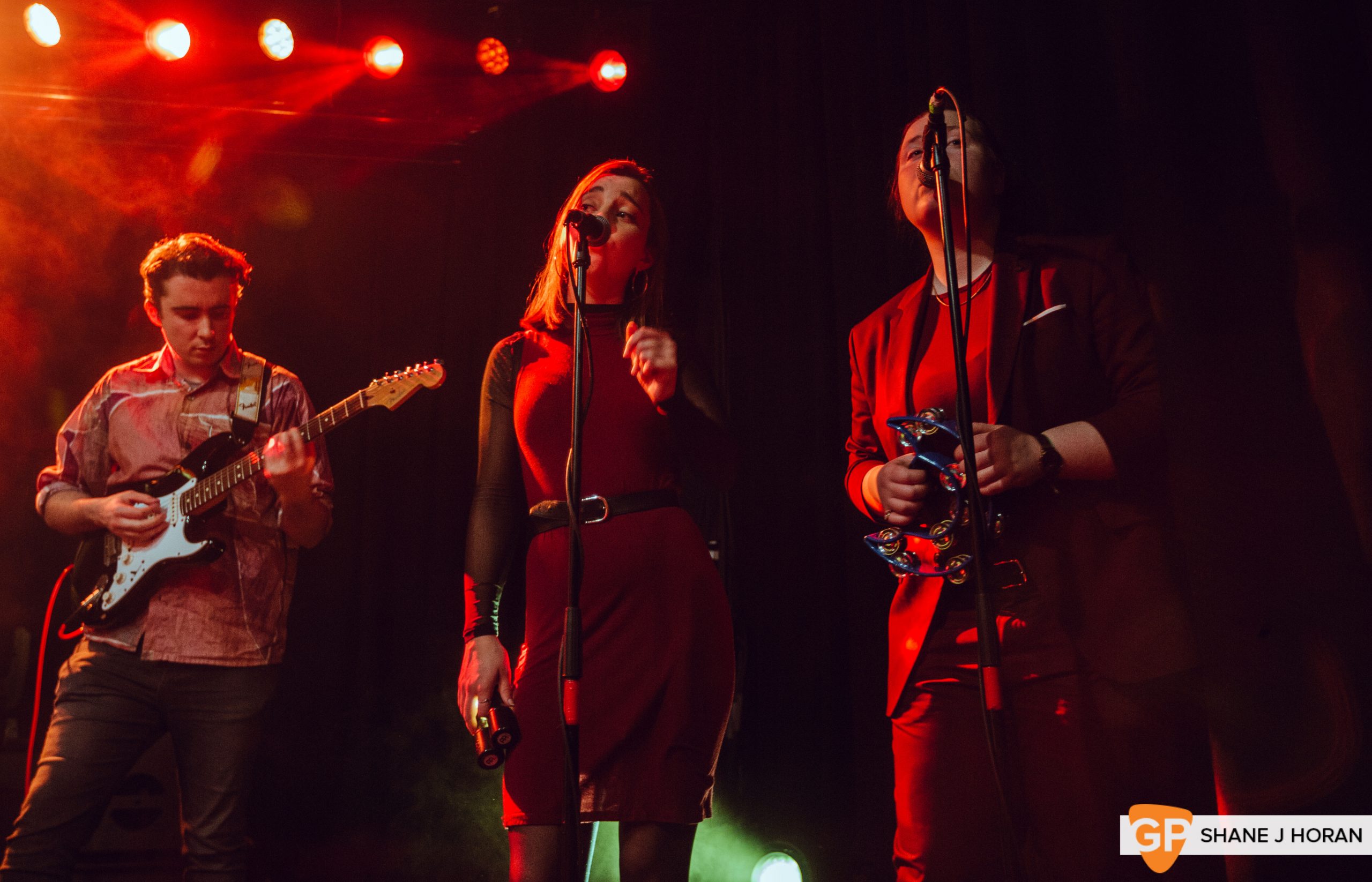 Toucan, Right Here Right Now, Cyprus Avenue, Cork, Shane J Horan, 22-02-2020-8