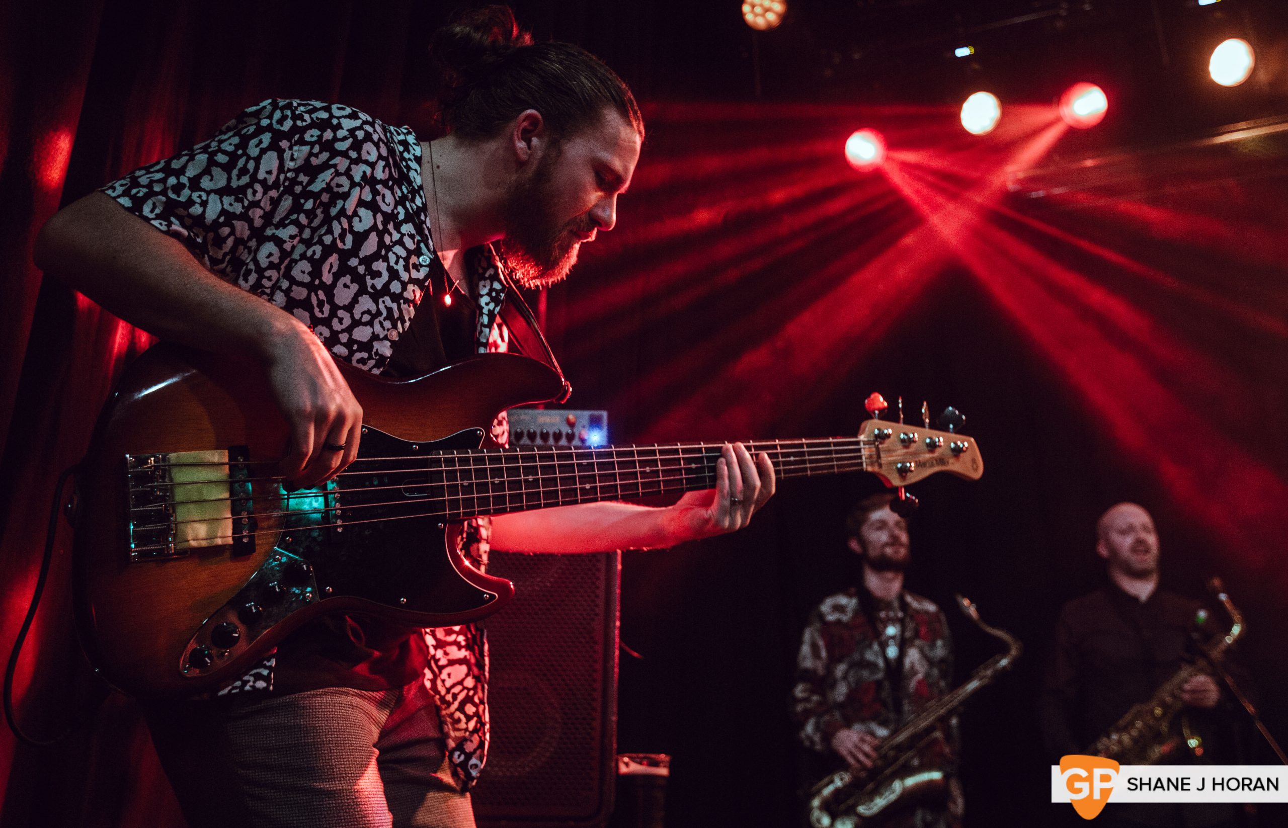 Toucan, Right Here Right Now, Cyprus Avenue, Cork, Shane J Horan, 22-02-2020-9