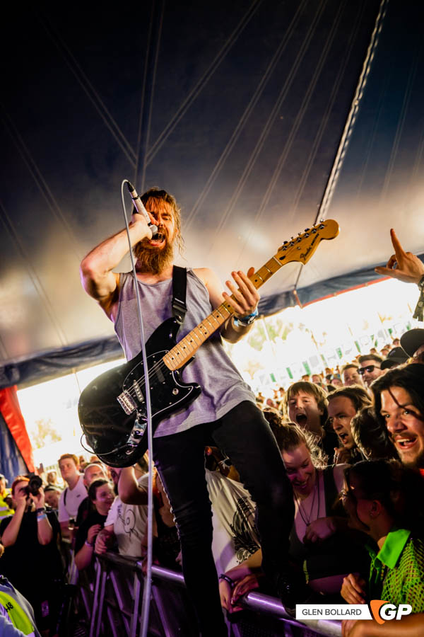 2000Trees22