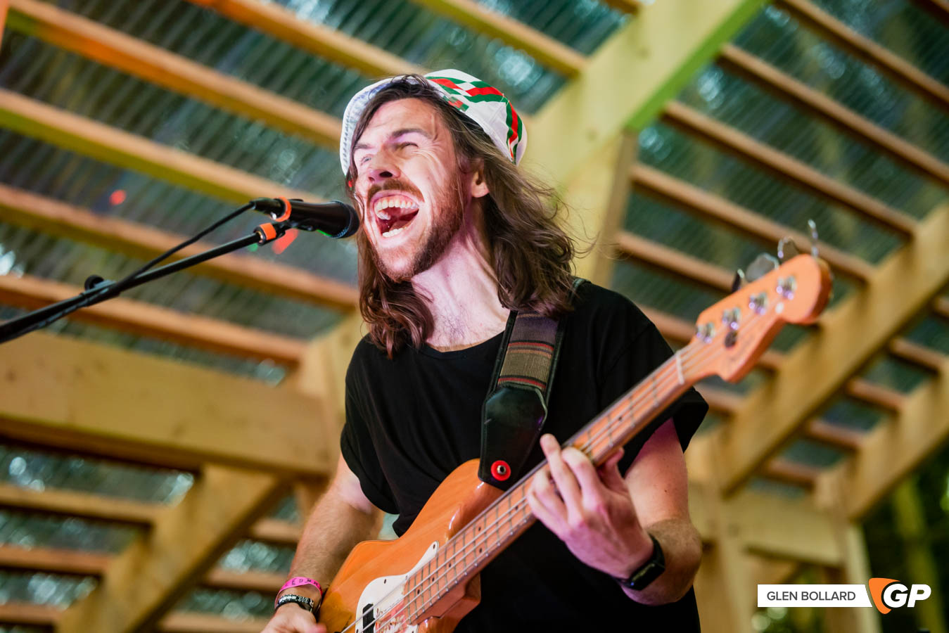 2000Trees22