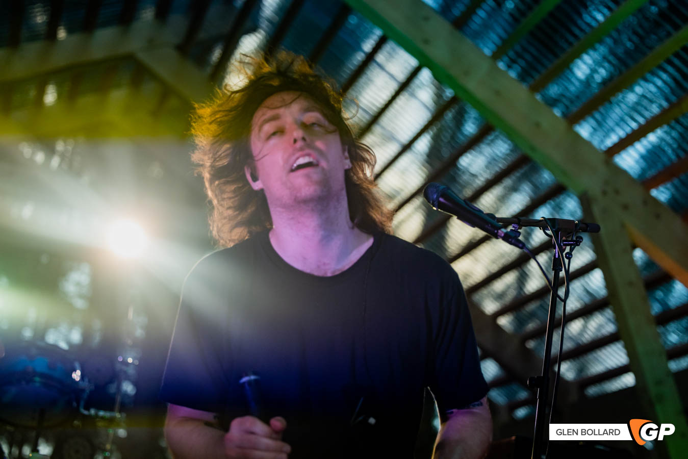 2000Trees22