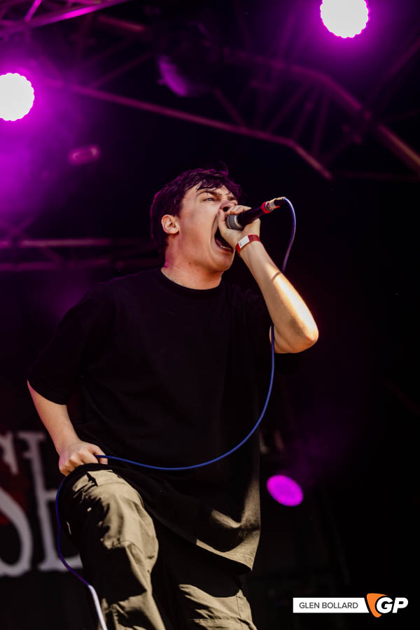 2000Trees22