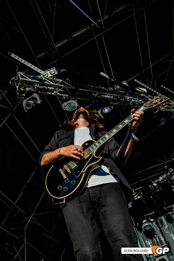 2000Trees22