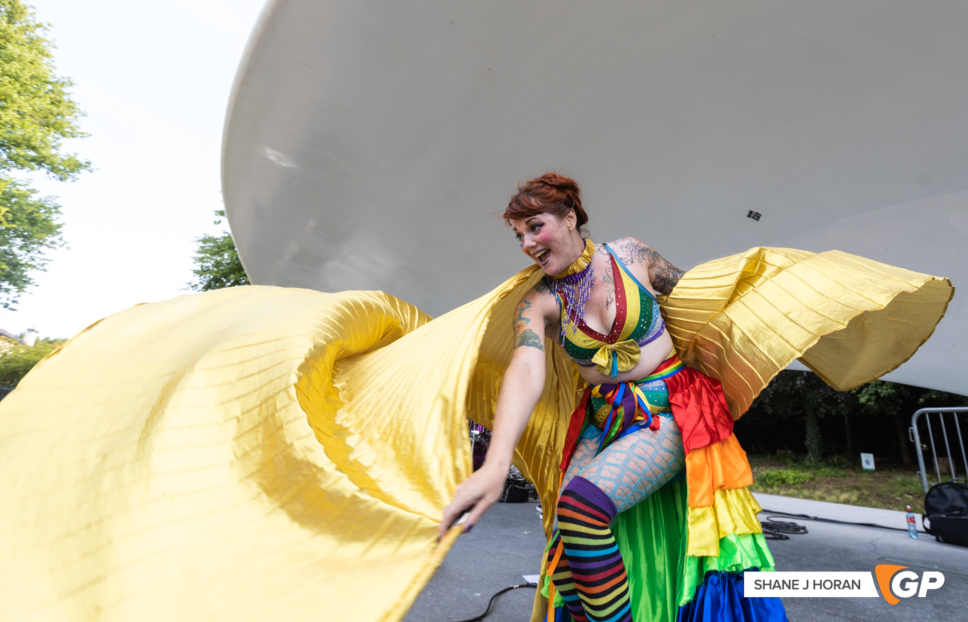 Jerry Fish, Joy in the Park, Cork, Shane J Horan, 17-07-22-10