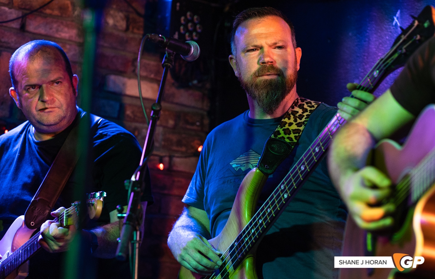 Rawney, De Barras, Clonakilty, Shane J Horan, 08-07-22-12