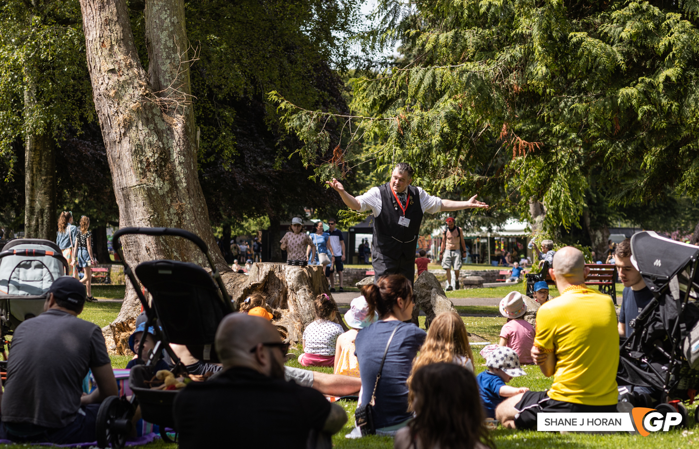 Story Teller, Joy in the Park, Cork, Shane J Horan, 17-07-22-1