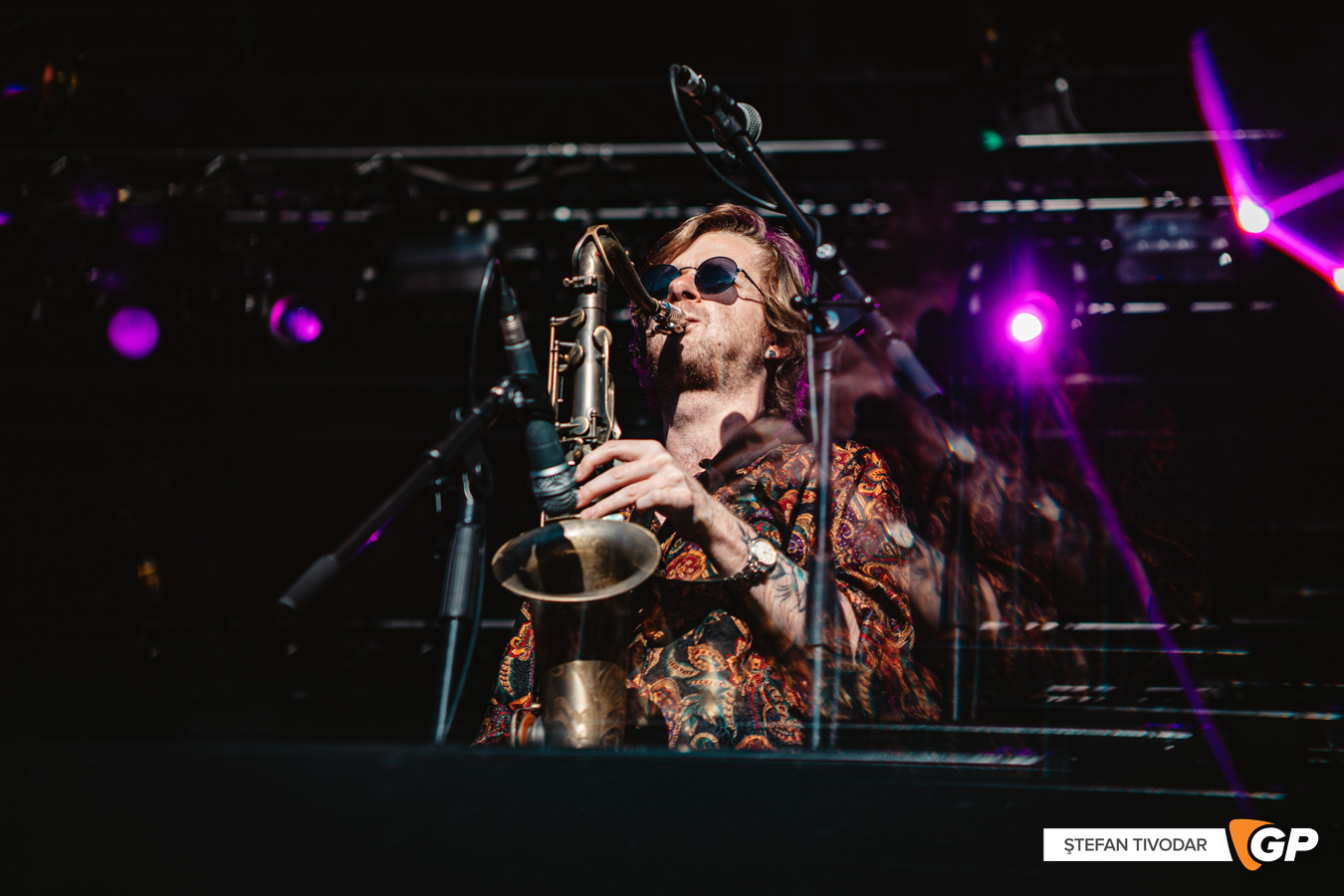 Toucan Iveagh Gardens 10 July 2022 Stefan Tivodar-0029