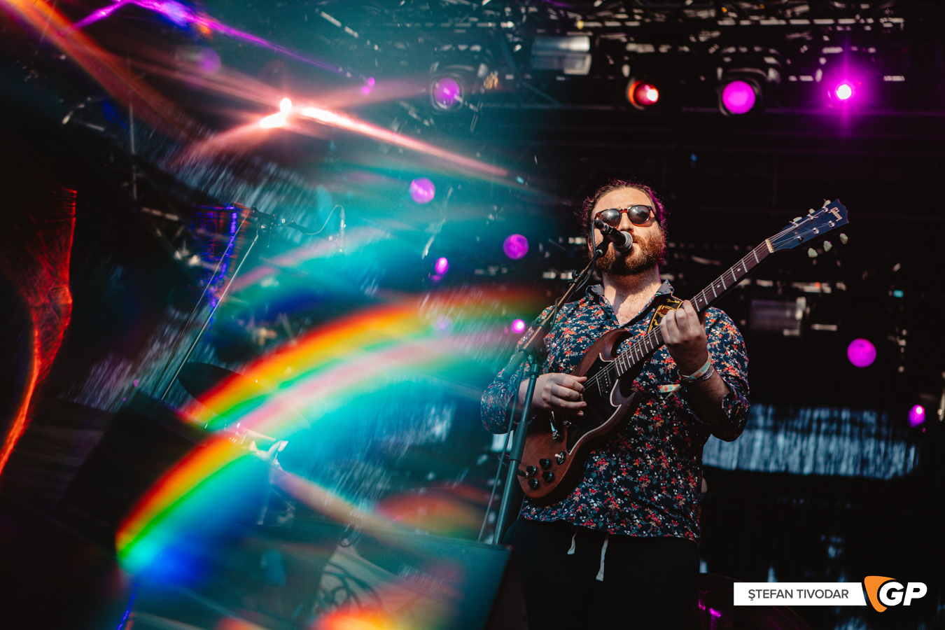 Toucan Iveagh Gardens 10 July 2022 Stefan Tivodar-0094