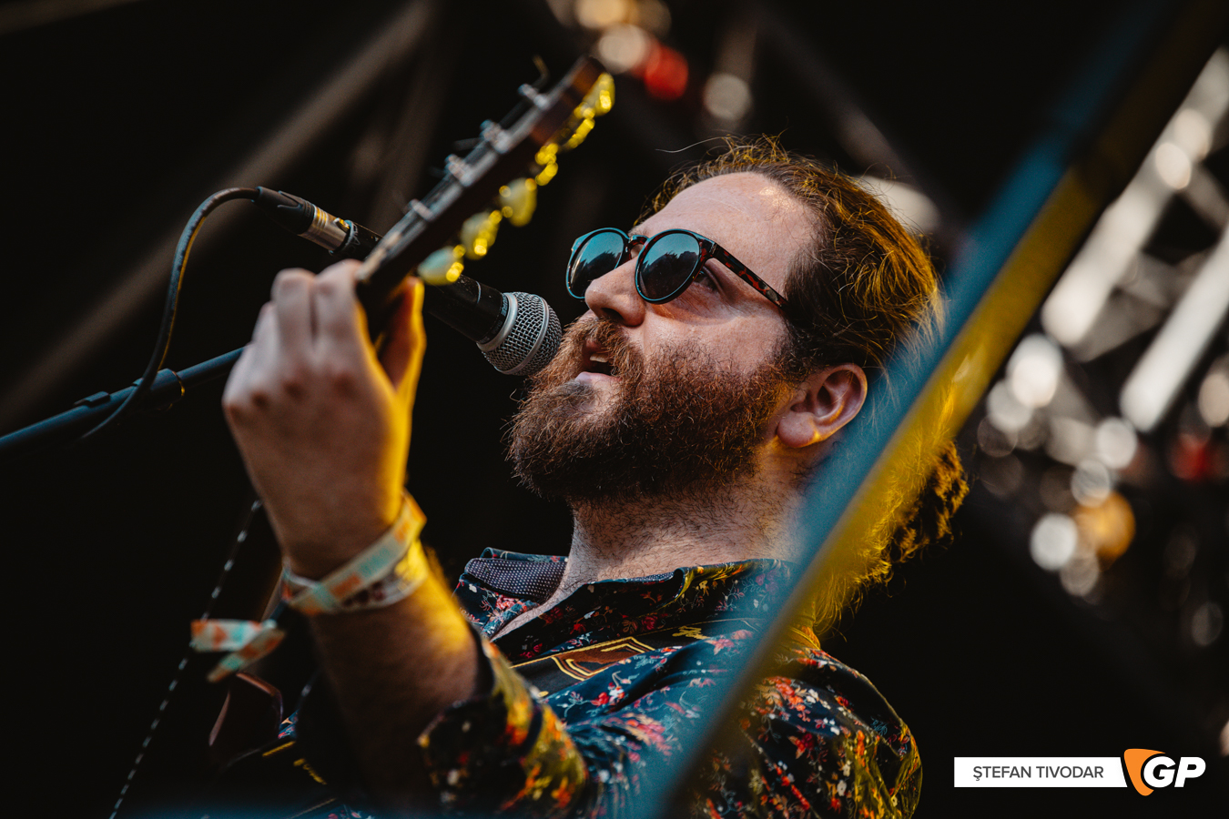 Toucan Iveagh Gardens 10 July 2022 Stefan Tivodar-0128