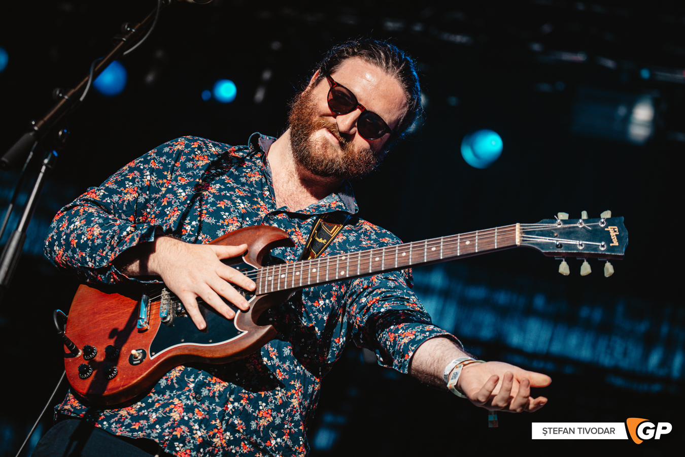 Toucan Iveagh Gardens 10 July 2022 Stefan Tivodar-9990
