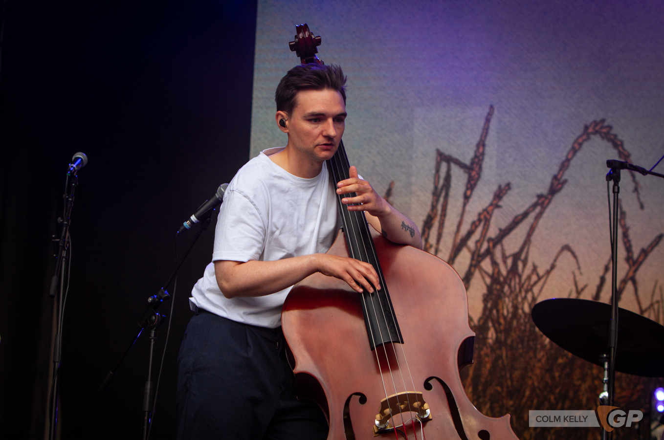 Villagers at The Iveagh Gardens, Dublin  14.7.2022 Copyright Colm Kelly