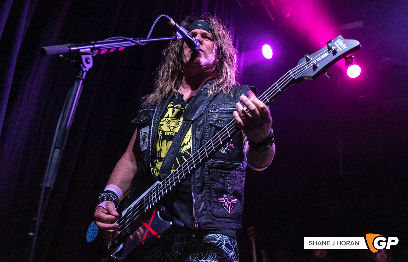 Steel Panter, Cyprus Avenue, Cork, Shane J Horan, 26-05-23-19