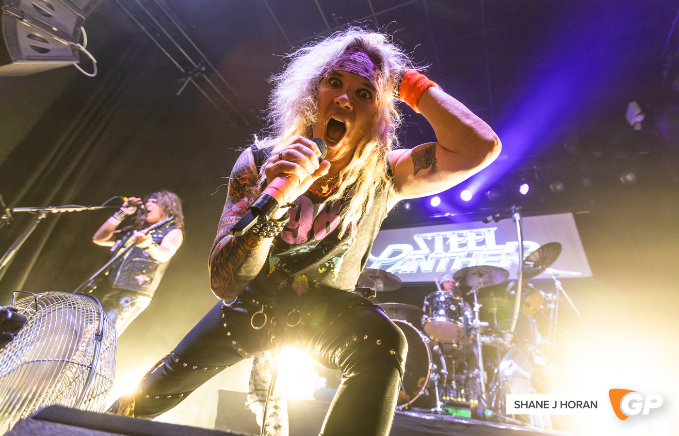 Steel Panter, Cyprus Avenue, Cork, Shane J Horan, 26-05-23-2