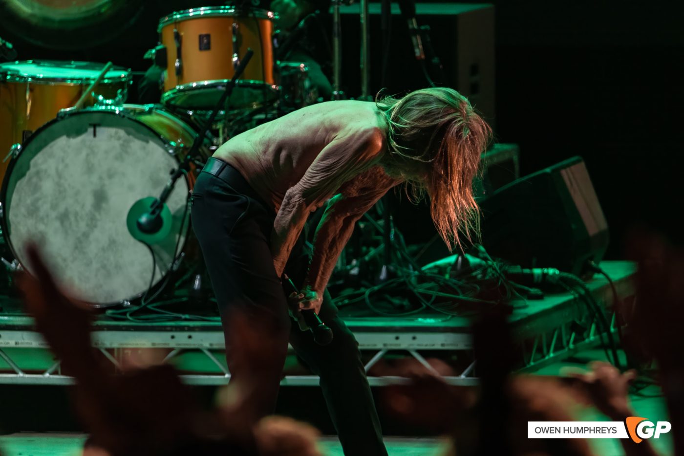 Iggy Pop at All Together Now. Photo by Owen Humphreys www.owen.ie