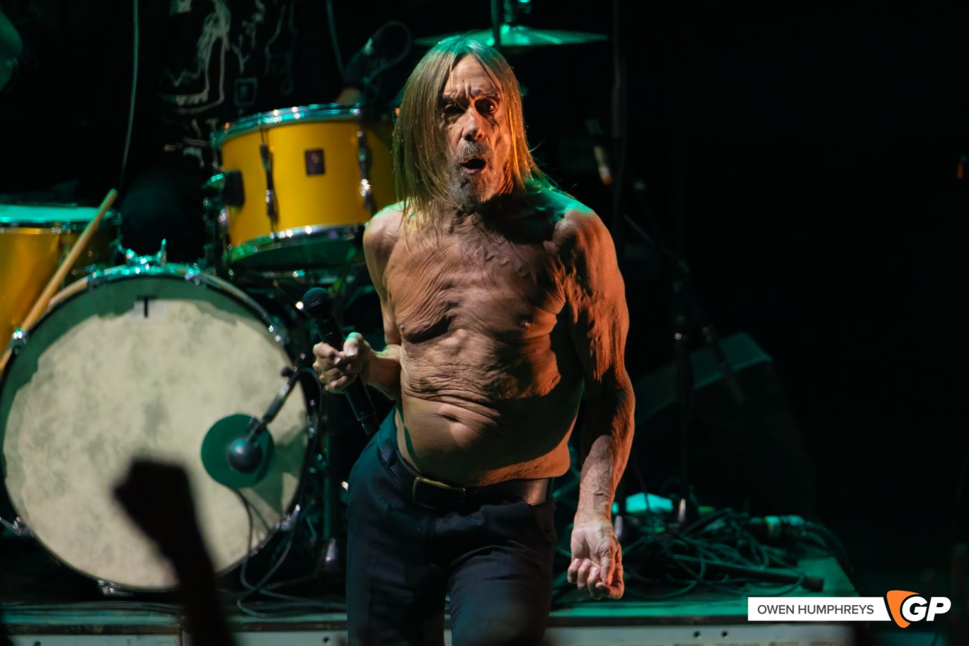 Iggy Pop at All Together Now. Photo by Owen Humphreys www.owen.ie