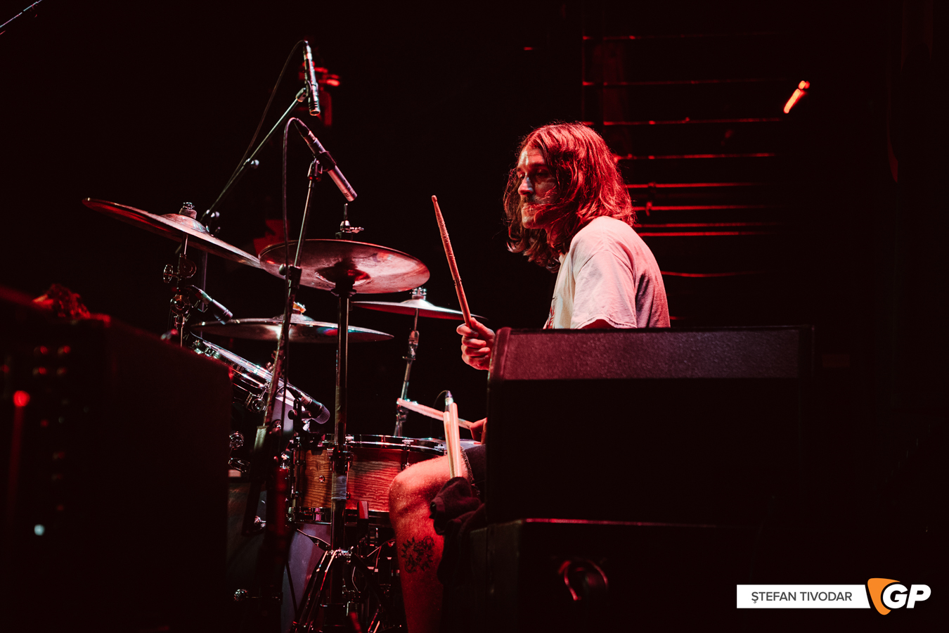 Pest Control The Academy 4 September 2023 Stefan Tivodar-61182