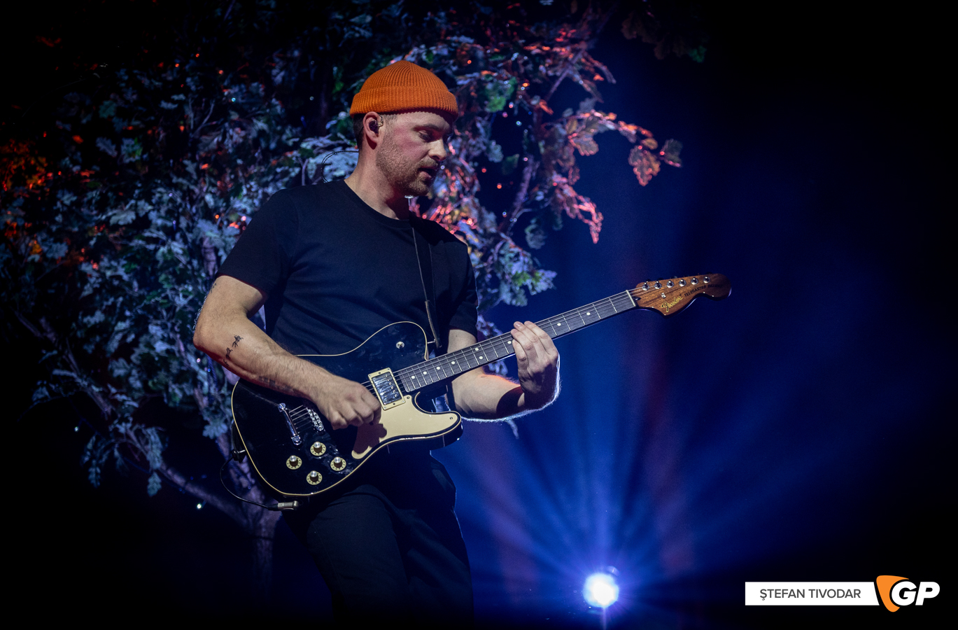 Picture This 3Arena 25 October 2023 Stefan Tivodar-61020