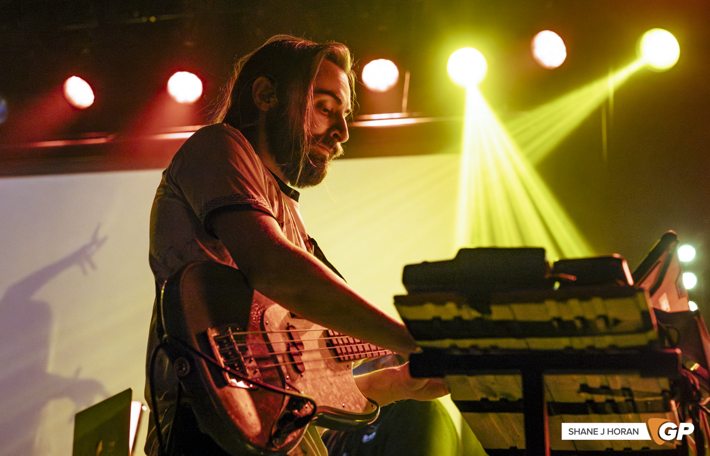 Overhead, the Albatross, Cyprus Avenue, Cork, Shane J Horan, 10-03-24-4